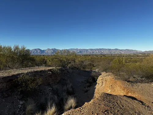 Fantasy island mountain online bike park