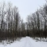 Health Valley Trail , Ontario, Canada - 426 Reviews, Map | AllTrails