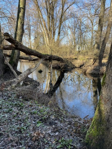 Rundwanderweg Sand S1