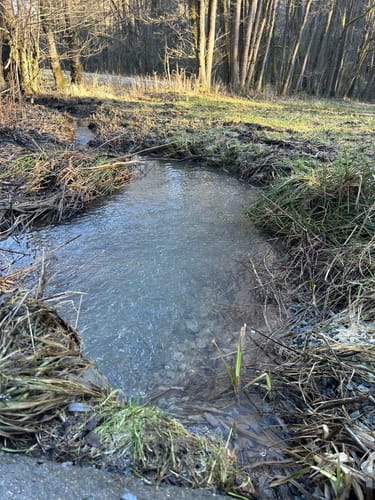 Naturlehrpfad Oberes Rotmaintal
