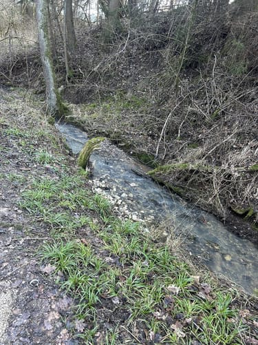 Naturlehrpfad Oberes Rotmaintal