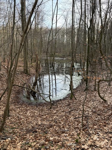 Scharbeutzer Heide und Großer Pönitzer See