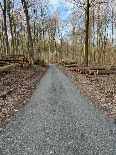 Scharbeutzer Heide und Großer Pönitzer See
