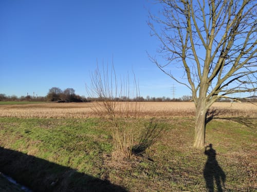 Butendorf Rundweg A3