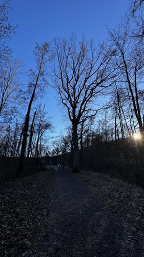 Rund um den Happurger See