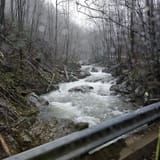 Charlies Creek Trail