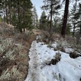 Fallen Leaf Lake Trail, California - 1,223 Reviews, Map | AllTrails