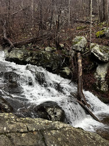 Fallingwater cascades clearance trail