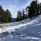 Waterman Mountain Loop Trail, California - 959 Reviews, Map | AllTrails