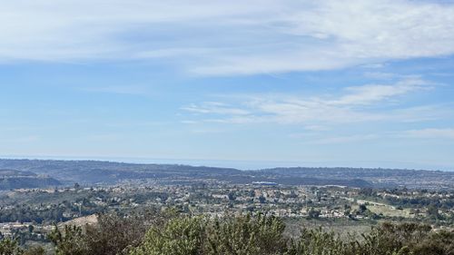 Photos of Ted Williams Mountain Bike Trail California AllTrails