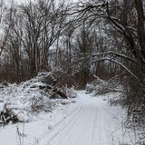 Waterloo-Pinckney Trail, Michigan - 497 Reviews, Map | AllTrails