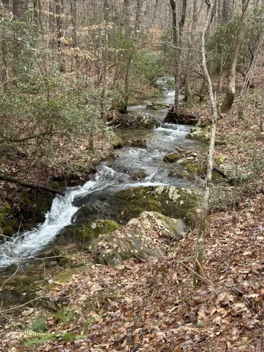 Best Hikes and Trails in Dugger Mountain Wilderness | AllTrails