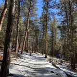 Panorama Point via Panorama Point and Bear Creek Trail, Colorado ...