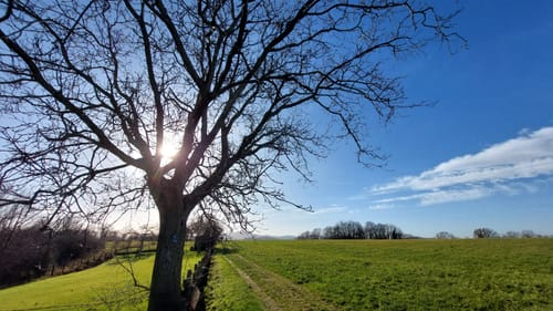 Frechwinkel - Rott - Uthweiler