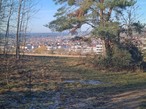 Wanderfreunde Regenstauf: Eichhornweg