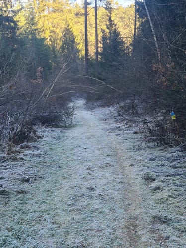 Wanderfreunde Regenstauf: Eichhornweg