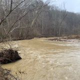 Otter Creek Trail, Kentucky - 468 Reviews, Map | AllTrails