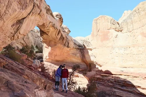 Alltrails capitol clearance reef