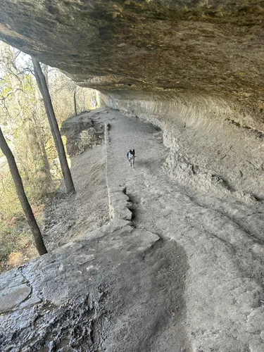 Best Hikes and Trails in McKinney - EyJidWNrZXQiOiJhc3NldHMuYWxsdHJhaWxzLmNvbSIsImtleSI6InVwbG9hZHMvcGhvdG8vaW1hZ2UvNzAxNjUwMDMvZTE1YjM5ZmQyNDcwNDNlYjZjMGFkMTFhZmM5ZDZlMWQuanBnIiwiZWRpdHMiOnsidG9Gb3JtYXQiOiJ3ZWJwIiwicmVzaXplIjp7IndpZHRoIjo1MDAsImhlaWdodCI6NTAwLCJmaXQiOiJpbnNpZGUifSwicm90YXRlIjpudWxsLCJqcGVnIjp7InRyZWxsaXNRdWFudGlzYXRpb24iOnRydWUsIm92ZXJzaG9vdERlcmluZ2luZyI6dHJ1ZSwib3B0aW1pc2VTY2FucyI6dHJ1ZSwicXVhbnRpc2F0aW9uVGFibGUiOjN9fX0=