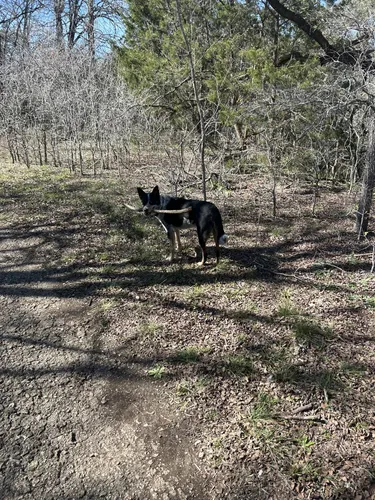 Best Hikes and Trails in McKinney - EyJidWNrZXQiOiJhc3NldHMuYWxsdHJhaWxzLmNvbSIsImtleSI6InVwbG9hZHMvcGhvdG8vaW1hZ2UvNzAxNjUwMDQvZGRjNjc1ZTYxOTdmYzFkYzAwZmMxOTU1ZGU1NzU2NjEuanBnIiwiZWRpdHMiOnsidG9Gb3JtYXQiOiJ3ZWJwIiwicmVzaXplIjp7IndpZHRoIjo1MDAsImhlaWdodCI6NTAwLCJmaXQiOiJpbnNpZGUifSwicm90YXRlIjpudWxsLCJqcGVnIjp7InRyZWxsaXNRdWFudGlzYXRpb24iOnRydWUsIm92ZXJzaG9vdERlcmluZ2luZyI6dHJ1ZSwib3B0aW1pc2VTY2FucyI6dHJ1ZSwicXVhbnRpc2F0aW9uVGFibGUiOjN9fX0=