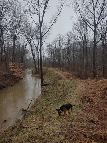 Best Hikes and Trails in Heinzerling Family Five Points Nature Preserve ...