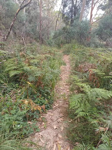 Best Hikes and Trails in Simmos Beach Recreation Reserve | AllTrails