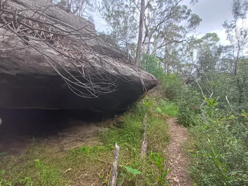 Best Hikes and Trails in Simmos Beach Recreation Reserve | AllTrails