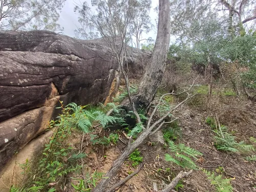 Best Hikes and Trails in Simmos Beach Recreation Reserve | AllTrails