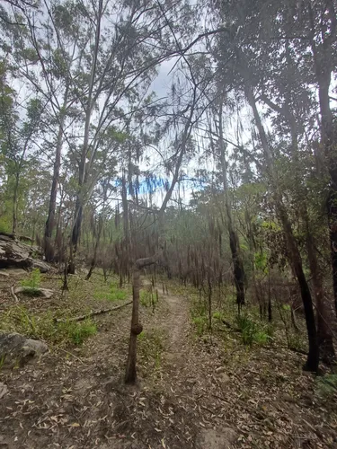 Best Hikes and Trails in Simmos Beach Recreation Reserve | AllTrails