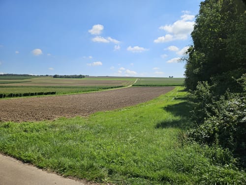 Via Caliga Variante A (Palzem-Helfant)