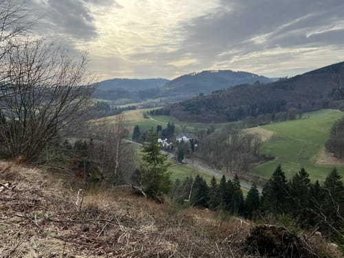 Um Wenholthausen (W4)