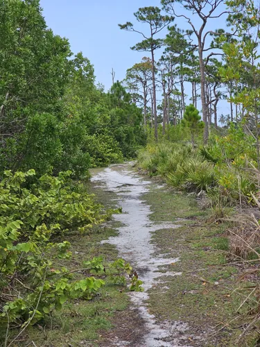 Best Hikes and Trails in Jupiter Ridge Natural Area | AllTrails