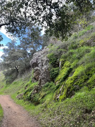 Best Hikes and Trails in Coyote Valley Open Space Preserve | AllTrails