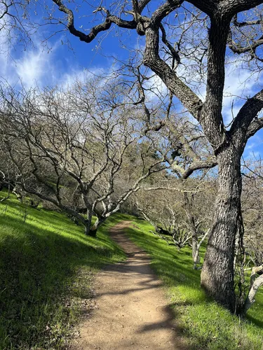 Best Hikes and Trails in Coyote Valley Open Space Preserve | AllTrails