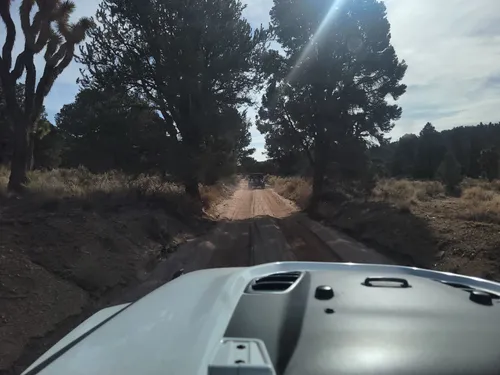Experience Top Big Bear Off Road Trails