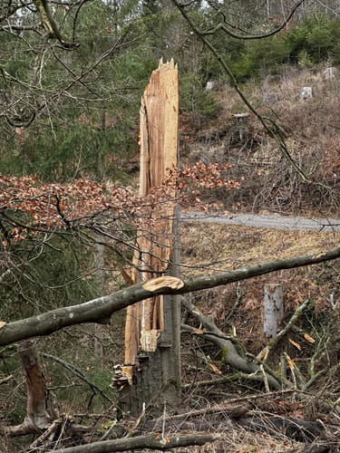 Söhrewald-Wellerode Rundweg 11