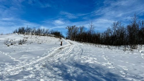 Pike Lake Provincial Park Trails