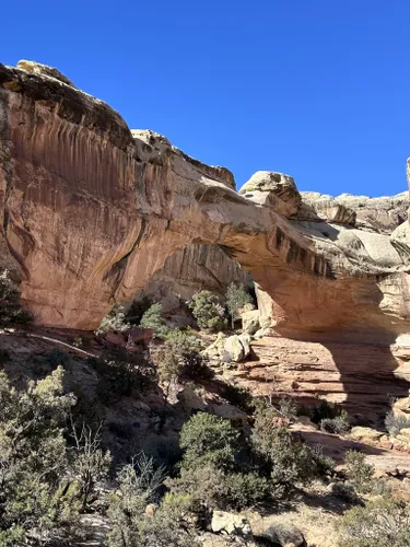 Alltrails capitol outlet reef