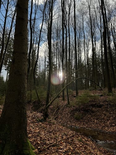 Auf dem Brand Rundweg