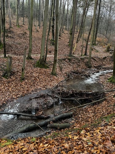Auf dem Brand Rundweg