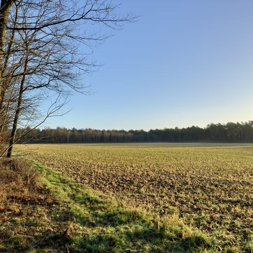 Von Baerlaghof in die Leucht