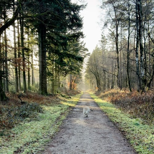 Von Baerlaghof in die Leucht