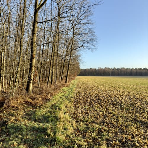Von Baerlaghof in die Leucht