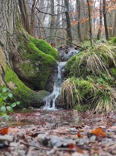 Rundwanderweg Wald-Michelbach Kreidacher Höhe 4: Kreidacher-Weg