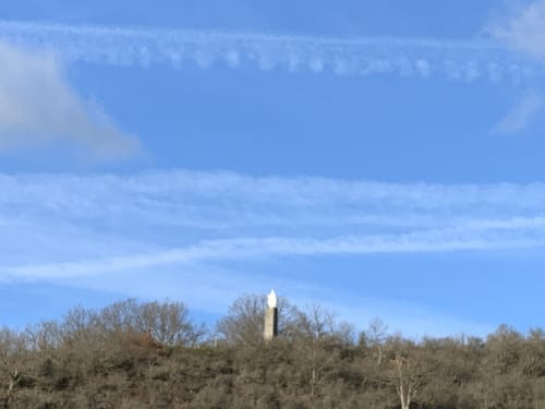 Felder und Wildgehege Gehlweiler