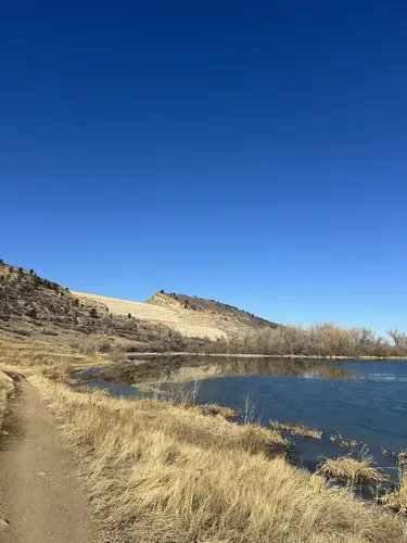 Best Hikes and Trails in Pineridge Natural Area | AllTrails