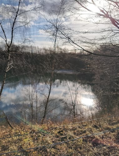 WesterwaldSteigEtappe 14: Horhausen - Strauscheid
