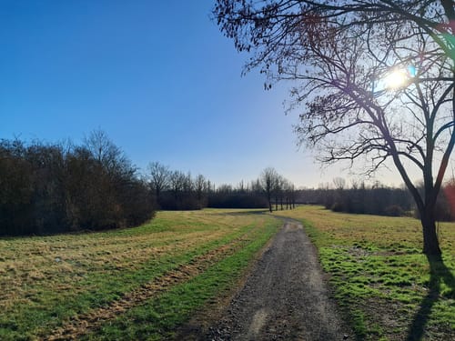 Rundwanderweg Leipzig (Etappe 2): Miltitz - Wiederitzsch - Paunsdorf