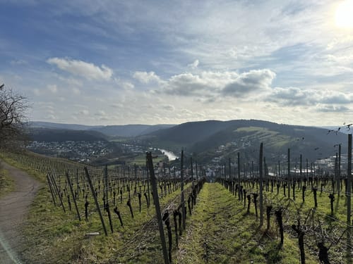 Von Saarburg auf den Warsberg