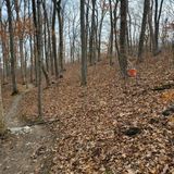 matson hill mountain bike trail